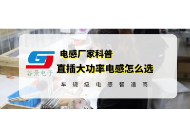 直插大功率電感不知道怎么選就看這里